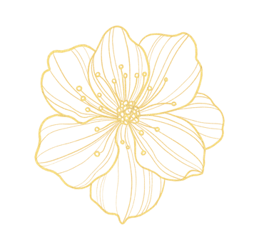 Gold outline illustration with spring flower png