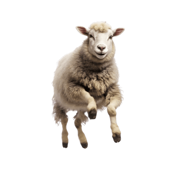 Happy sheep jumping image png