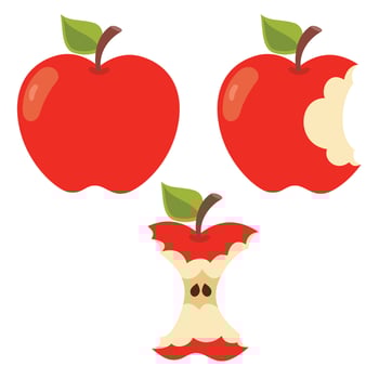 Illustration Of Various Apple Shapes vector