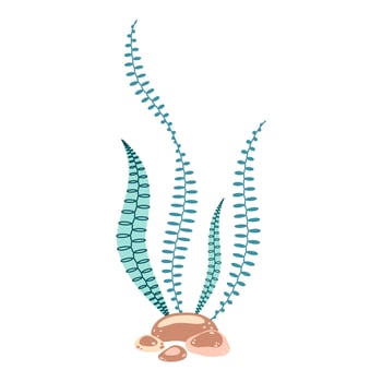 Seaweed. Hand drawn algae colorful seaweed. Underwater plants. Modern flat illustration. Vector illustration
