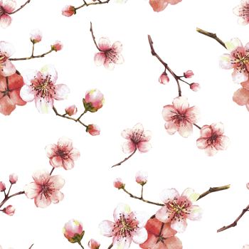Watercolor blooming branch from tree, sakura, cherry buds and flowers seamless pattern Spring blossoms, springtime watercolor clipart for fabric print Hand drawn isolated illustration background png
