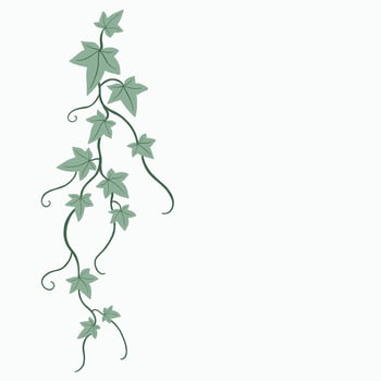 Floral ivy drawing decorative ornament flat design. vector