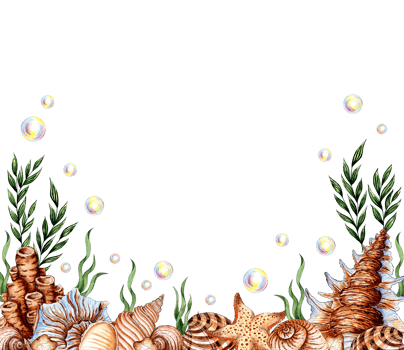 Watercolor illustration of the underwater world with algae, corals, shells and bubbles. Seabed isolated from background. Compositions for posters, cards, banners, flyers, covers, stationery png