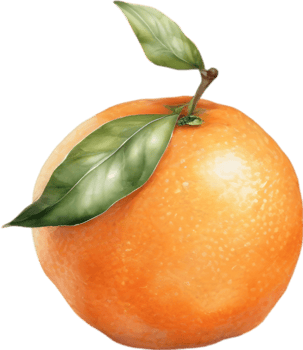AI generated Watercolor painting of orange fruit. png