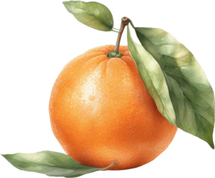 AI generated Watercolor painting of orange fruit. png