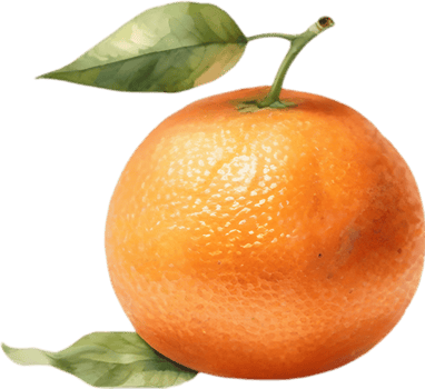 AI generated Watercolor painting of orange fruit. png