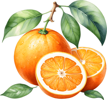 AI generated Watercolor painting of orange fruit. png