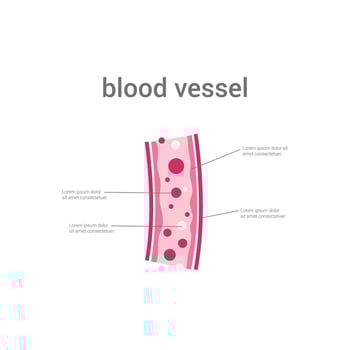 vector illustration of blood vessels concept design.
