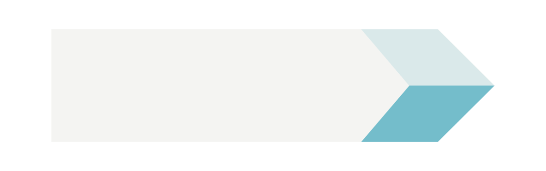 Infographic List Single Element, List Description for Presentation png