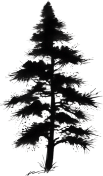 AI generated Japanese-style painting with brush strokes of Pine tree. png