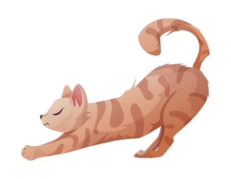 Red tabby stretching domestic cat, vector isolated cartoon illustration.
