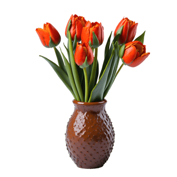 AI generated Tulip flower with vase isolated on transparent background png