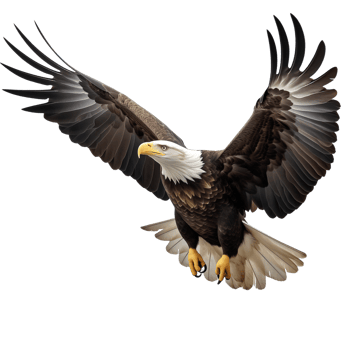 AI generated Collection of Flying Bald Eagles Isolated png
