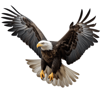 AI generated Collection of Flying Bald Eagles Isolated png