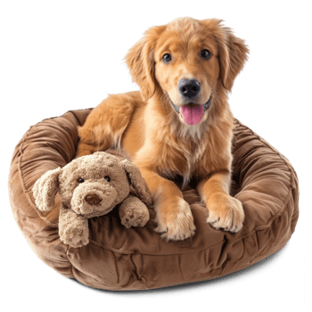 AI generated A pet bed with a soft cushion with happy dog puppy sitting isolated on transparent background png