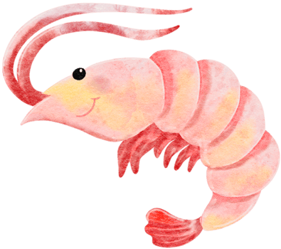 Watercolor hand drawn illustration of shrimp in pink color png