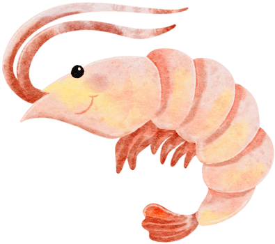 Watercolor hand drawn illustration of shrimp in orange color png