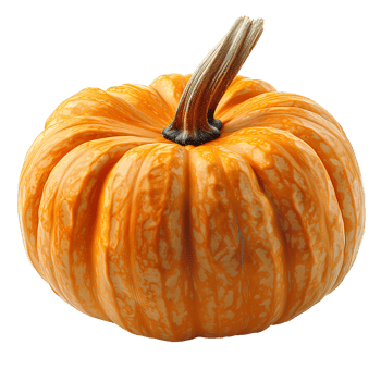 AI generated Pumpkin PNG. Orange pumpkin vegetable PNG. Pumpkin harvest png