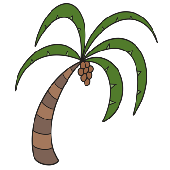 colored coconut tree png
