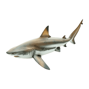 AI generated Shark isolated on transparent background png