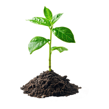 AI generated Green seedling growing from soil isolated on transparent background png