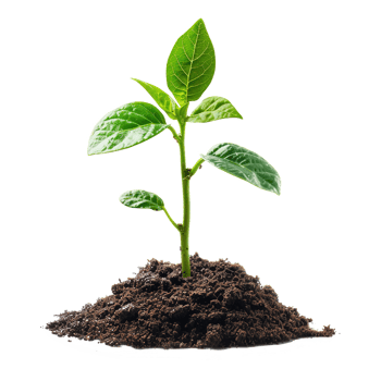 AI generated Green seedling growing from soil isolated on transparent background png