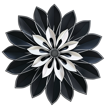 Variety of Top View Flat Flowers Isolated png