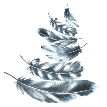 Watercolor feathers monochrome arrangement. Bird gray black feathers bundle with granulation of shades. Real wings Hand drawn template illustration. Clipart for your print background png