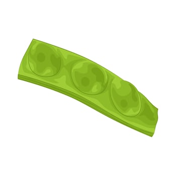 Illustration of vegetable petai vector