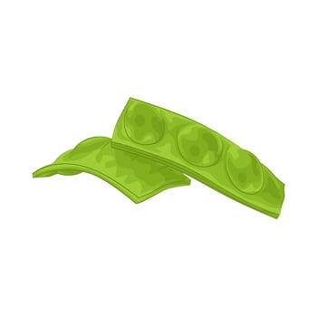 Illustration of vegetable petai vector