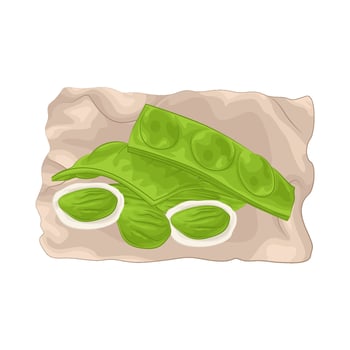Illustration of vegetable petai vector