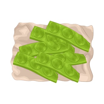 Illustration of vegetable petai vector