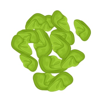 Illustration of vegetable petai vector