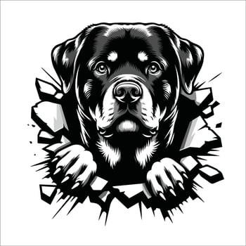 AI generated Rottweiler Dog looking breaks through a breakthrough wall Vector