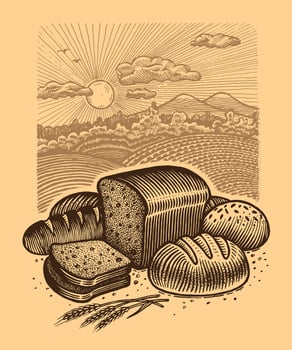 Bread still life on a landscape background, illustration. Vintage graphics and handwork. Drawing with an ink pen and pencil. A collection of farm products. vector
