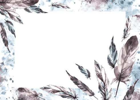 Watercolor painted monochrome banner. Bird grey feathers with graphic ink line on watercolor brush stroke splashes. Real wings card template illustration. Clipart for print background png