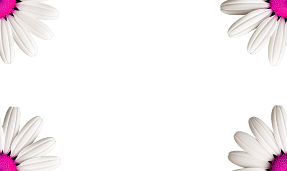 AI generated Flower frame borders, floral decoration, transparent background, Flat lay, top view png