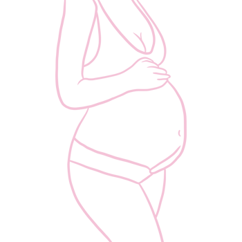 Woman's Belly with Pregnancy Line Art png
