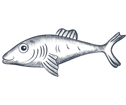 Pencil sketch illustration of fish. Monochrome fish. Black and white graphics in vintage style. png