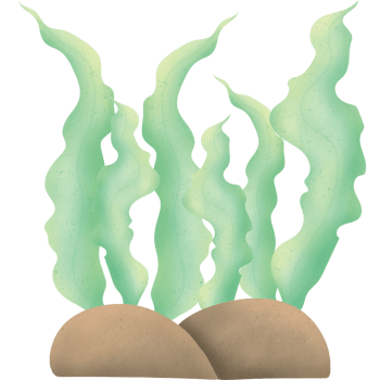 Seaweed pastel cartoon marine life reef Wheat barley leaf underwater sea ocean coral mare png