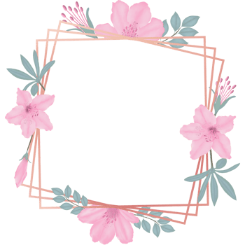 Hand-Drawn Pink Azalea Blooms - Spring Flower Illustration png