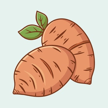 Sweet Potatoes illustration vector