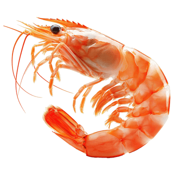 AI generated Shrimp isolated on transparent background png