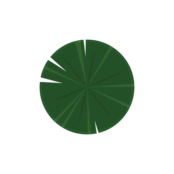 Lily pad icon. Lily cartoon vector on white background.