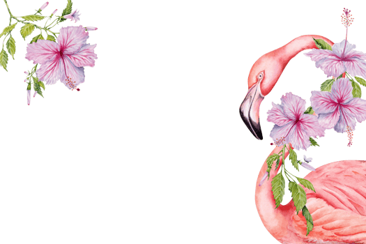 Flamingo bird and pink hibiscus flowers with elegant botanical leaves and buds exotic greeting card design. Hand drawn watercolor template for cards, prints, invitations with copy space for your text. png