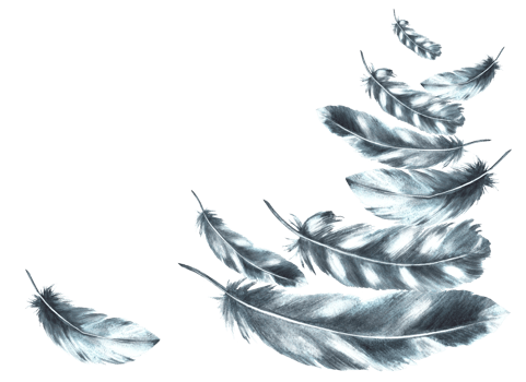 Watercolor feathers monochrome arrangement. Bird gray black feathers bundle with granulation of shades. Real wings Hand drawn template illustration. Clipart for your print. png