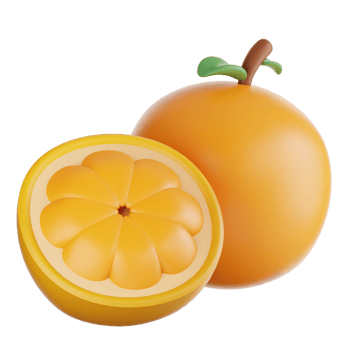 Fresh Fruit 3D illustration png