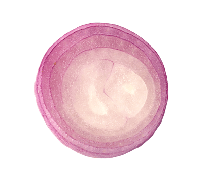 shallots onion chopped isolated png