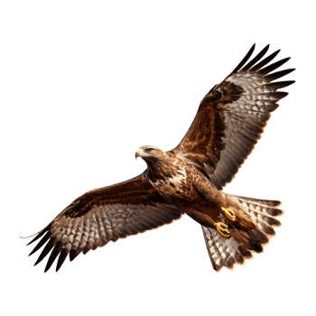 AI generated Buzzard flying isolated on transparent background png