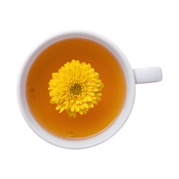 AI generated Macro shot of chrysanthemum tea isolated png